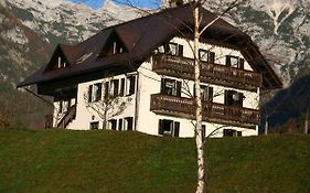 Apartments Mija